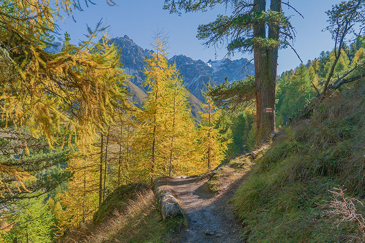 Photo Parc National Suisse
